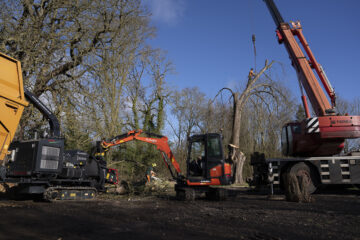 Vegetation clearance