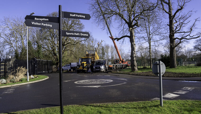Schools and universities often feature beautiful campuses with diverse tree populations that enhance the learning environment and provide aesthetic value. However, maintaining these trees is crucial for the safety of students, staff, and visitors. As a professional tree surgery company, we understand the unique challenges educational institutions face in managing their green spaces.