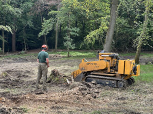 a man stump grinding