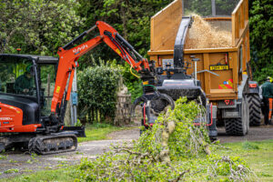 anb tree surgery