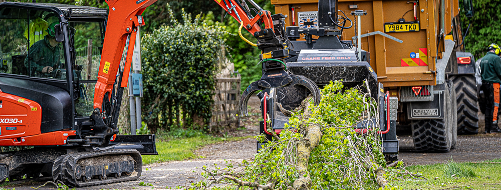 anb trees & grounds tree surgery